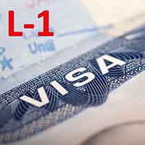 Получение визы L-1 в США